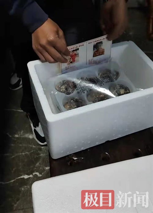孫海洋跨界餐飲 以包子為媒，將尋親信息送入千家萬戶
